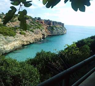 Blick vom Fußweg aus