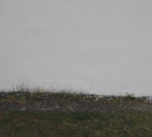 Martinskirche Hundersingen