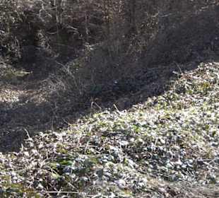 Historischer Rundwanderweg Aichtal