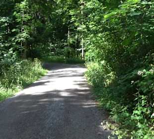Premiumspazierweg Früchtetrauf-Leisawegle