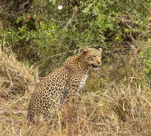Tsavo West