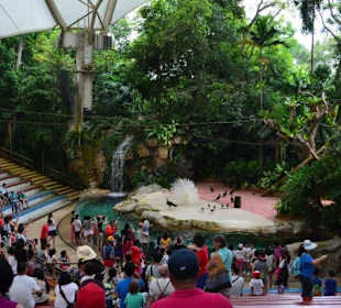 Singapur Zoo