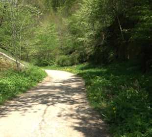 Premiumwanderweg Hochgehschätzt