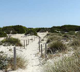 Zu den Dünen 