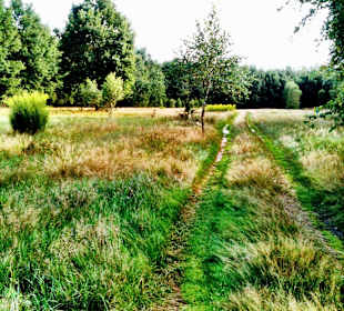 Kampinoski Park Narodowy