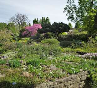 Spaziergang durch den Berggarten Hannover