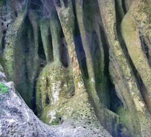 Tropfsteinhöhle