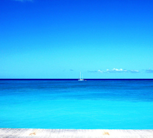 Im Bereich des National Parks