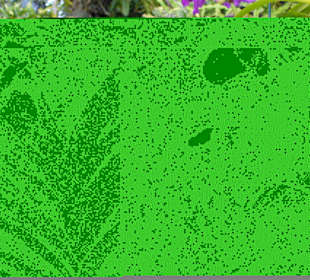 In Pregetter's Orchideengarten