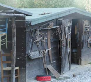 Alter Schuppen - Deko nur so