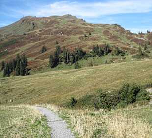 Wanderweg zur Mittelstation
