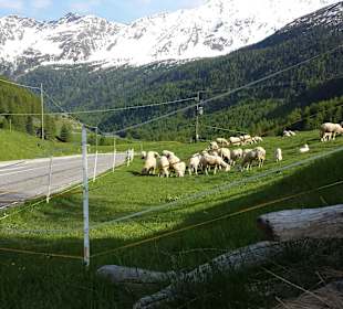 Auf dem Rückweg zum Hotel Oberraindlhof nach der Wanderung