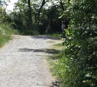 Weinlehrpfad Wurmlingen