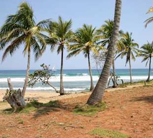 Close to Playa Encuentro Surf spot