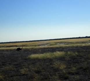Etosha