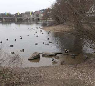 Wörth-Garten Nürtingen