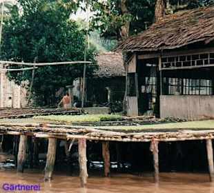 Gärtnerei am Mekong