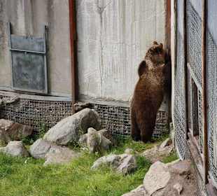 Zoo