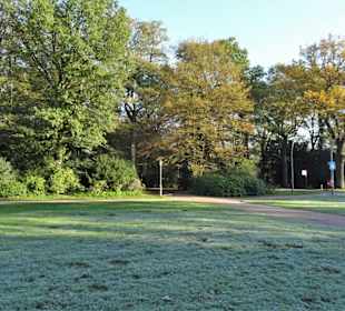 Impressionen aus dem Hamburger Stadtpark