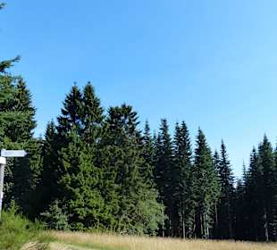 Sehr gute Beschilderung