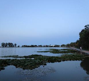 Lacul Neptun I