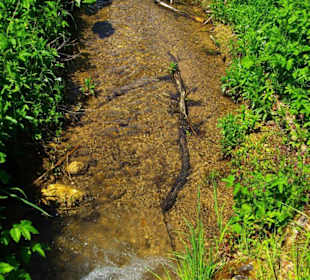 Reine Bachläufe vom Wasserwerk