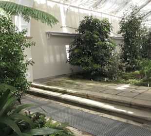 Palmenhaus 