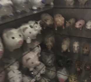 SchweineMuseum