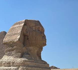 Sphinx von Gizeh