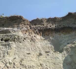 Ahrenshooper Steilküste Schwalben Siedlung