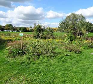 Eindrücke aus dem Kurpark Bad Bederkesa