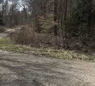 Wanderung Kirnberg-Runde Bebenhausen