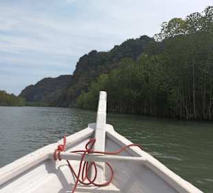 Mangroventour Peter Höfinger