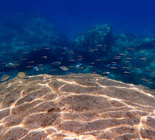 Tauchbasis Waterhoppers Rhodos