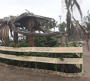 Rundgang Puerto Lopez