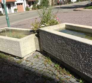 Dorfbrunnen Marienkirche Upfingen