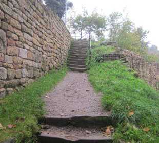 Weg zur Ruine Wachtenburg
