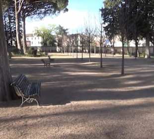 Palacio Real de el Pardo