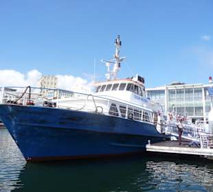 Boot nach Robben Island