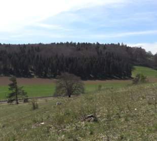 Rundweg am Beutenlay
