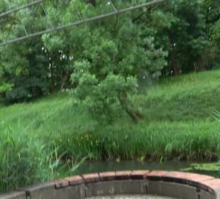 Forellenbächle Glacis Park