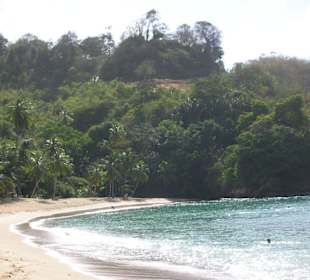 Englishman's Bay