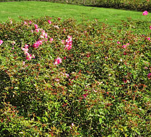 Eindrücke aus dem Gesundheitspark Speckenbüttel