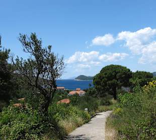 Vom Hafen zum Strand