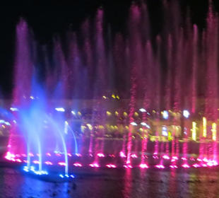 Wasserspiele auf der Palm