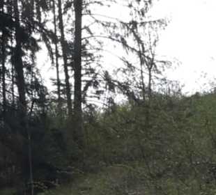 Martinsberg-Tour