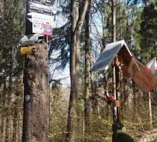 Jedna z wielu kapliczek przy szlaku