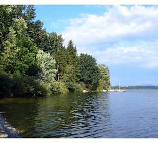 Blick über den Waginger See