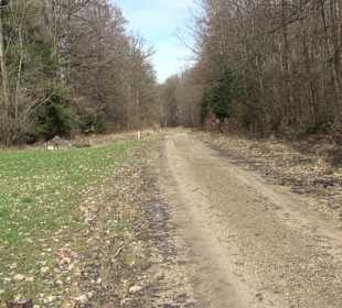 Gomaringer Rundweg - Zu den Giganten im Wald