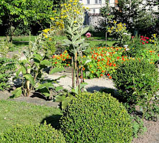 Impressionen aus dem Interkulturellen Garten